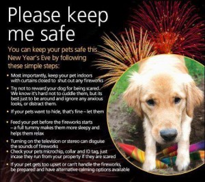 New Year's Safety For Pets