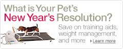 Pets New Year