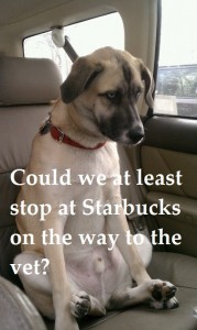 Starbucks stop