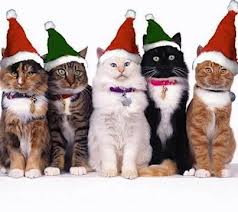 Waggers Merry Christmas to ALL!