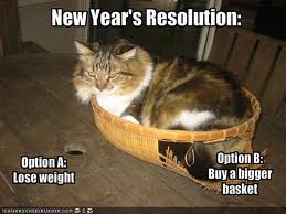 Pets New Year Resolution's